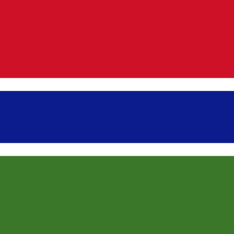 Gambia Travel eSIM