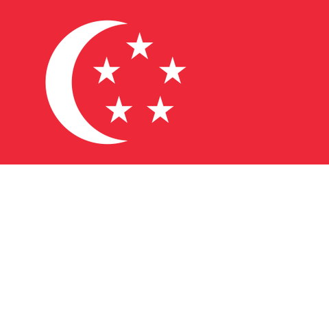 Singapore Travel eSIM